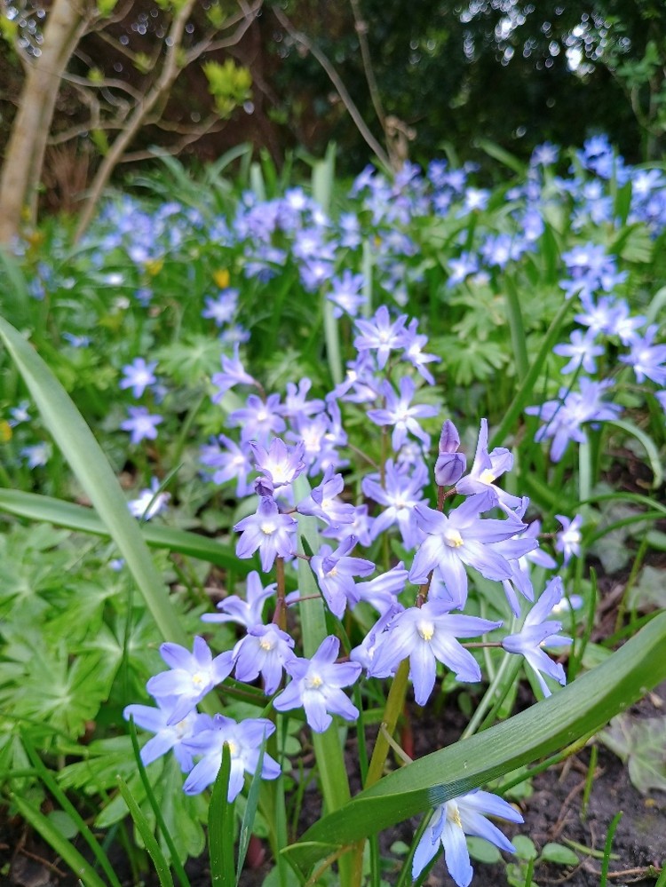 Lindholm Grundejerforenings generalforsamling 2026