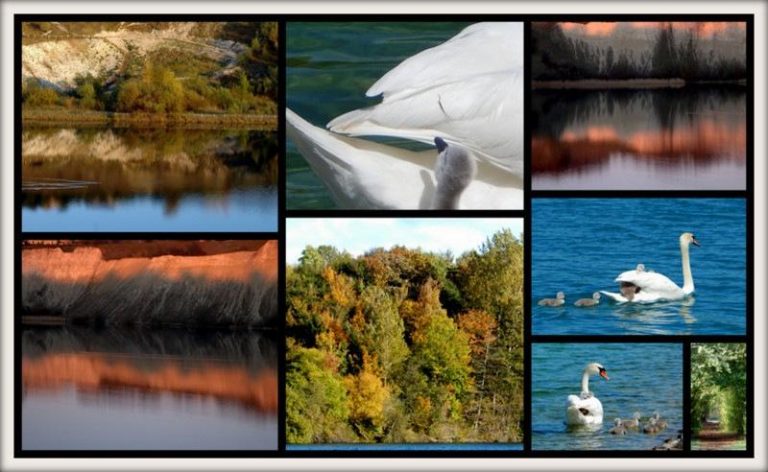 Lindholm – et godt sted at bo